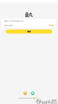 鱼丸语音软件最新爆料,揭秘神秘功能与升级亮点